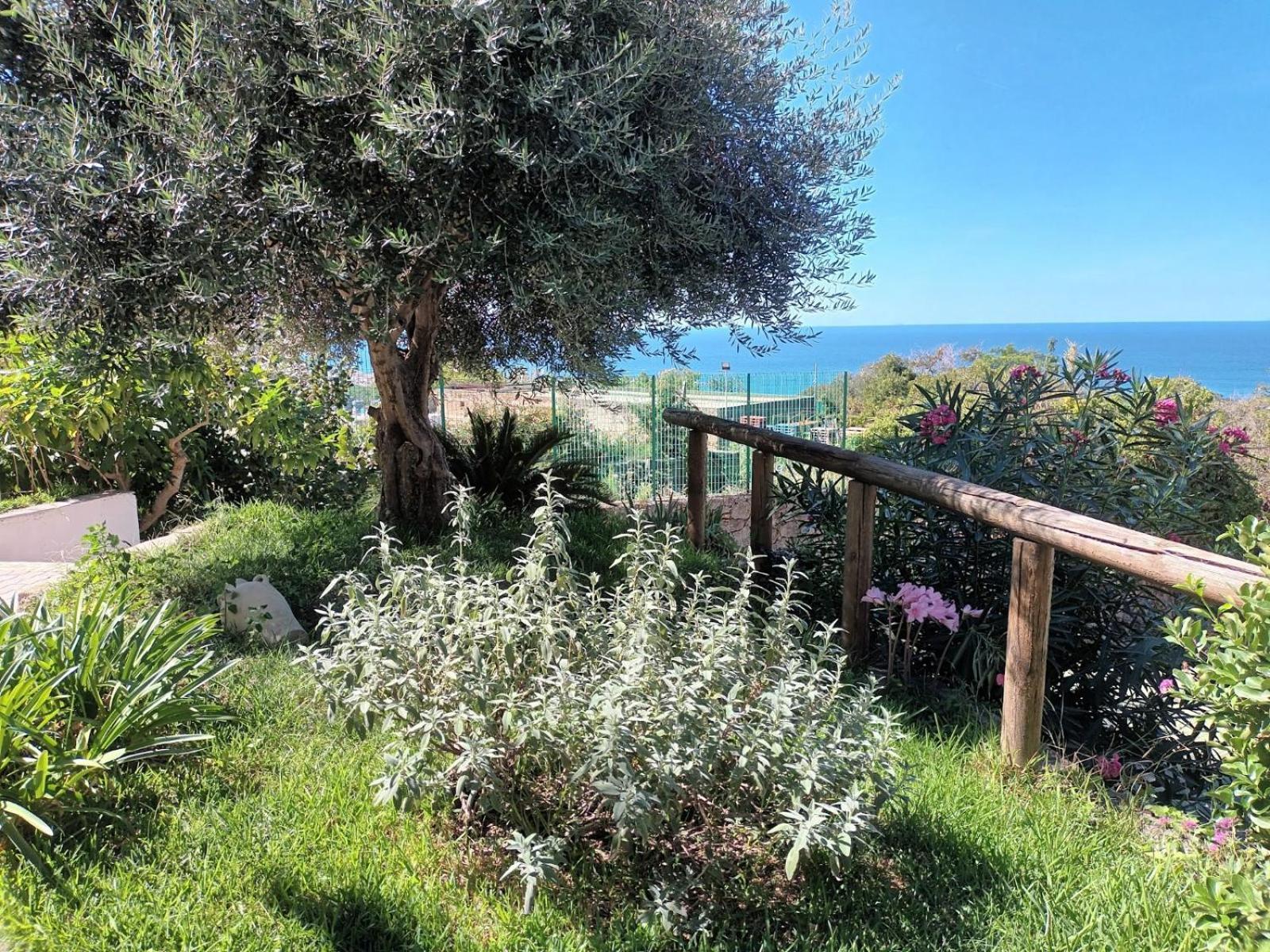 Il Rosmarino Apartment Ischia Exterior photo